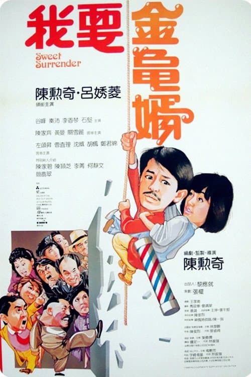 我要金龜婿 poster