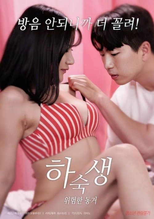 하숙생 : 위험한 동거 poster