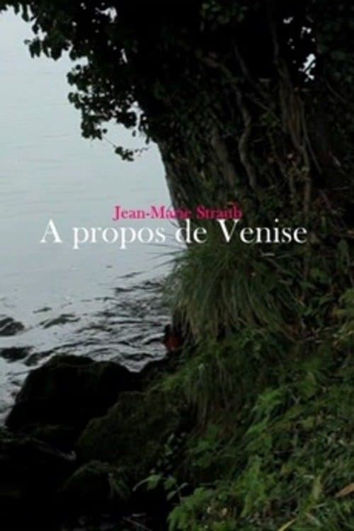À propos de Venise poster