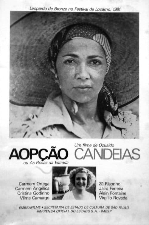 Aopção ou As Rosas da Estrada poster