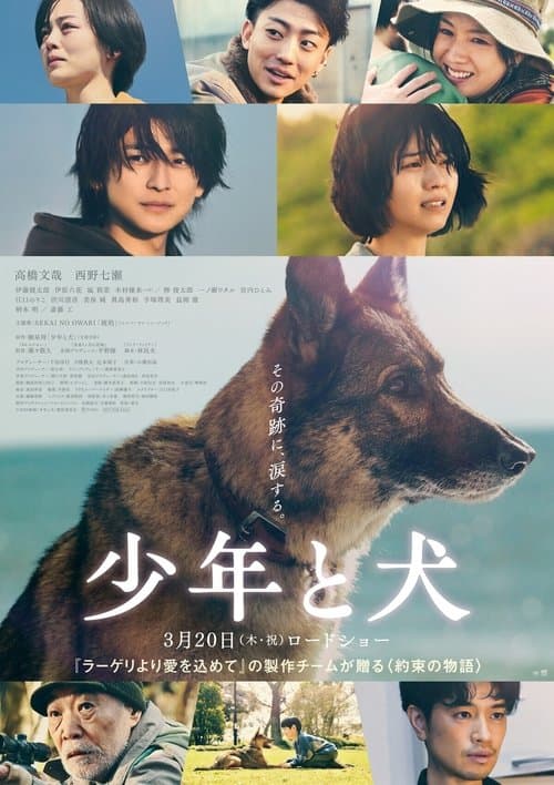 少年と犬 poster