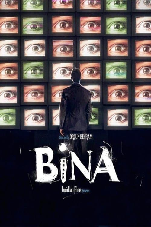 Bina poster