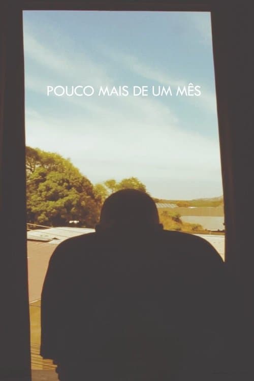 Pouco Mais de Um Mês poster