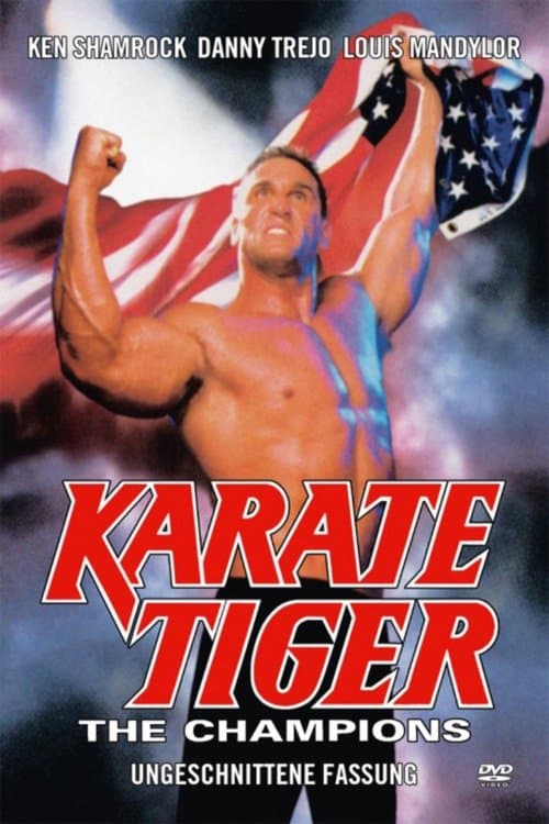 Karate Tiger - The Champions poster