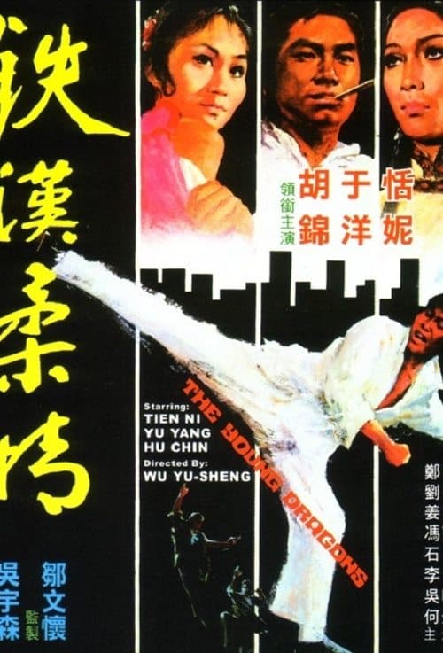 鐵漢柔情 poster