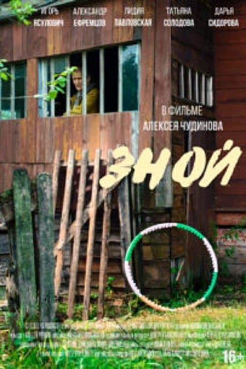 Зной poster
