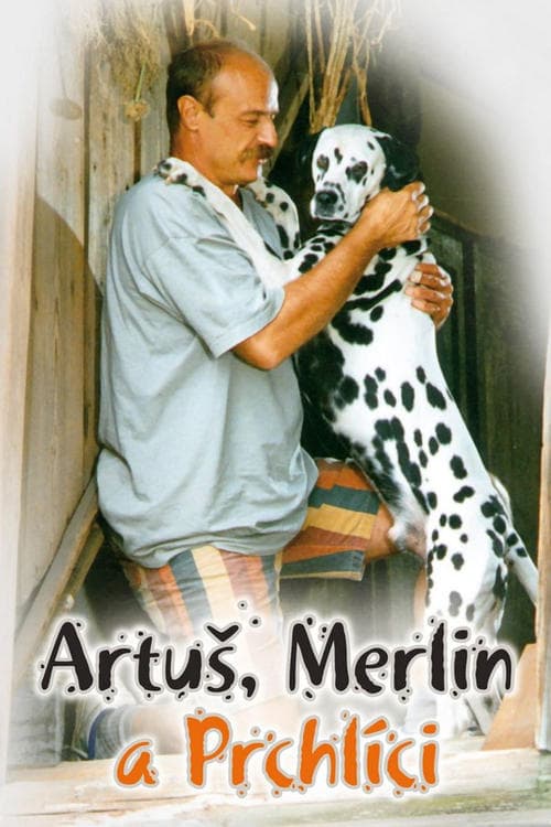 Der Doppelte Dalmatiner poster