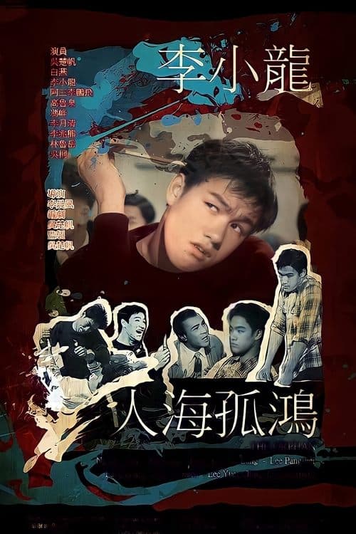人海孤鴻 poster
