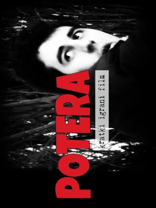 Potera poster