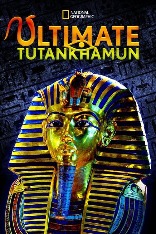 Tutanchamun - Mysterien einer Grabkammer poster