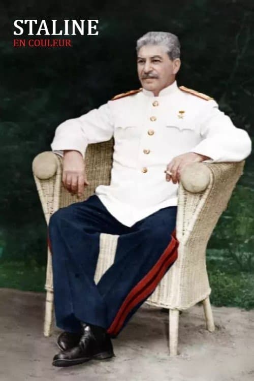 Stalin In Color poster
