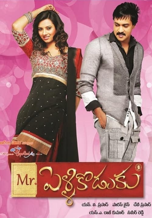 మిస్టర్ పెళ్ళికొడుకు poster