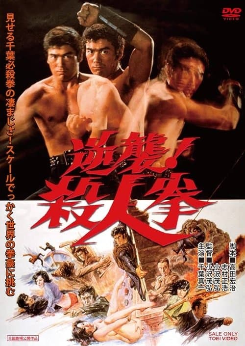 The Street Fighters Last Revenge poster