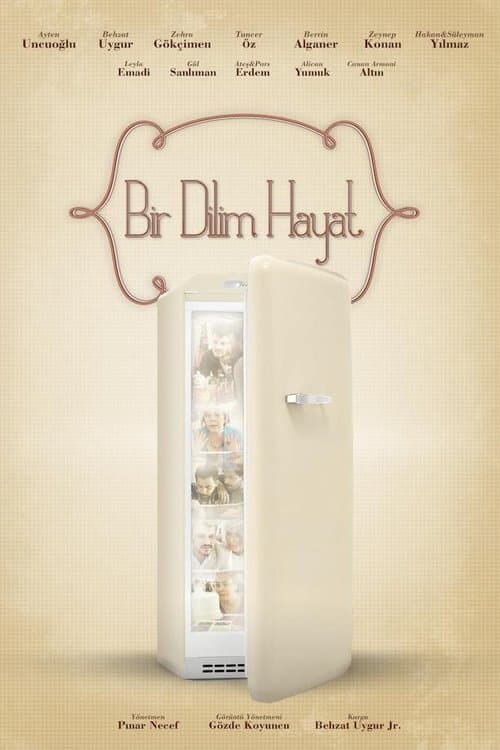 Bir Dilim Hayat poster