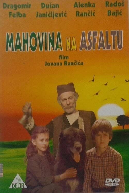 Mahovina na asfaltu poster