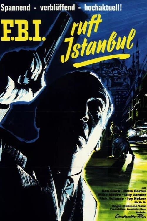 F.B.I. ruft Istanbul poster