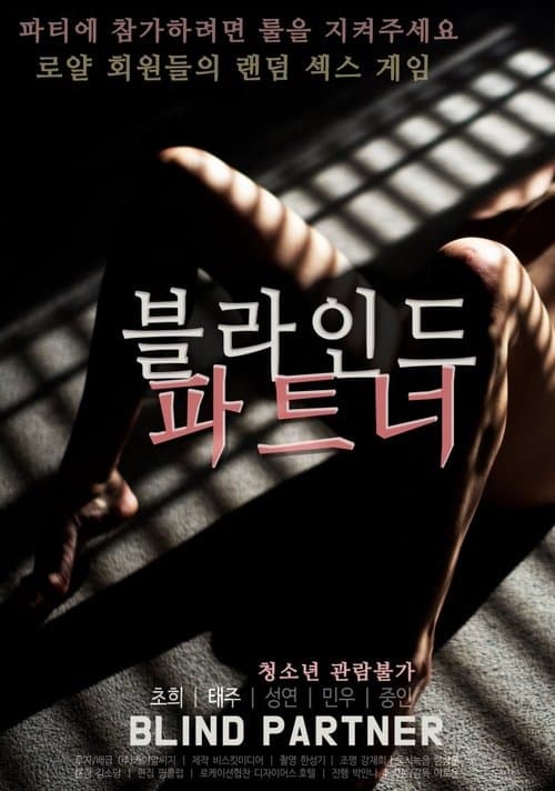 블라인드 파트너 poster