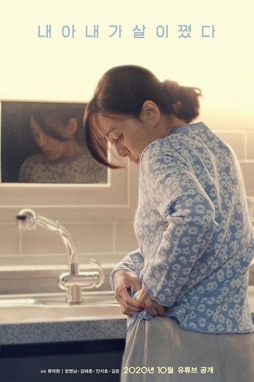내 아내가 살이 쪘다 poster