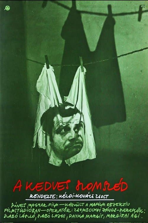 A kedves szomszéd poster