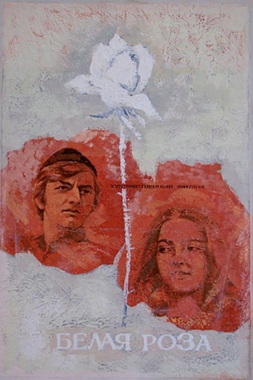 Белая роза poster