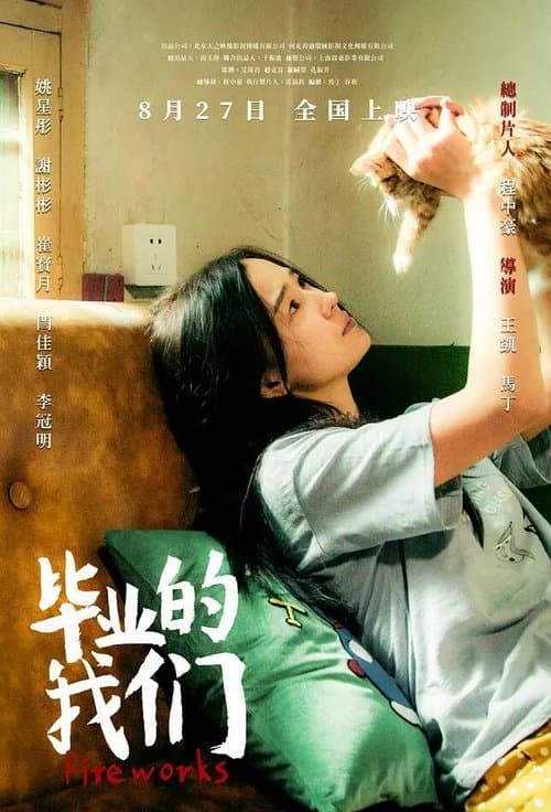毕业的我们 poster