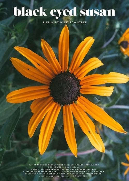 Black Eyed Susan poster