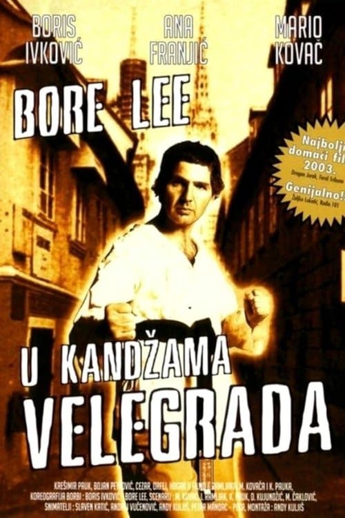 Bore Lee: U kandžama velegrada poster