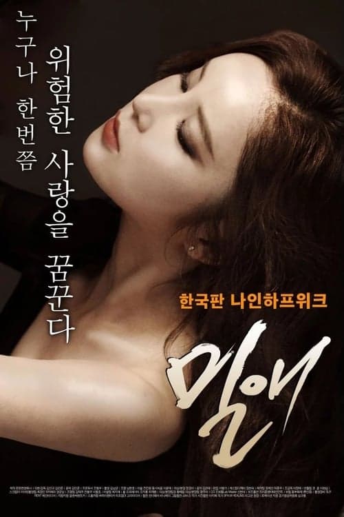 밀애 poster