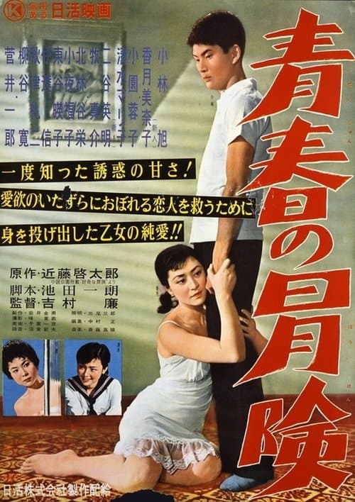 青春の冒険 poster
