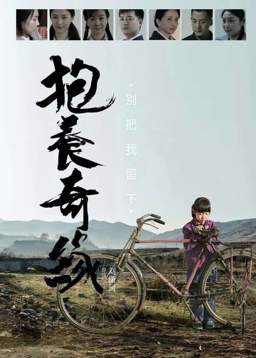 抱养奇缘 poster