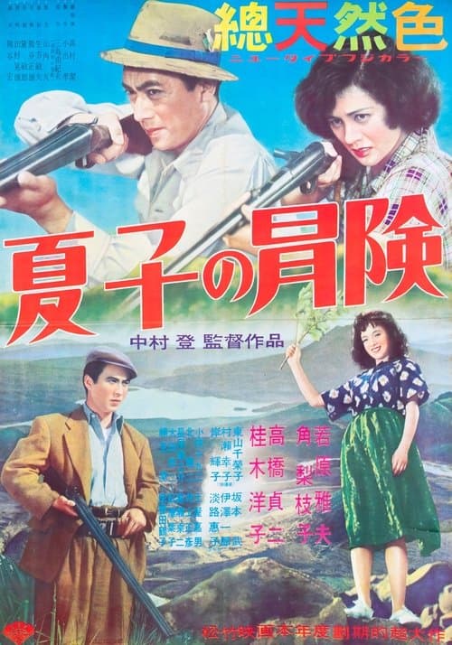 夏子の冒険 poster