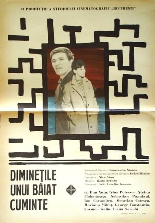 Diminețile unui băiat cuminte poster
