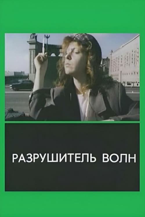 Разрушитель волн poster