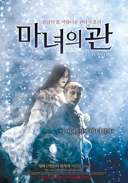 마녀의 관 poster