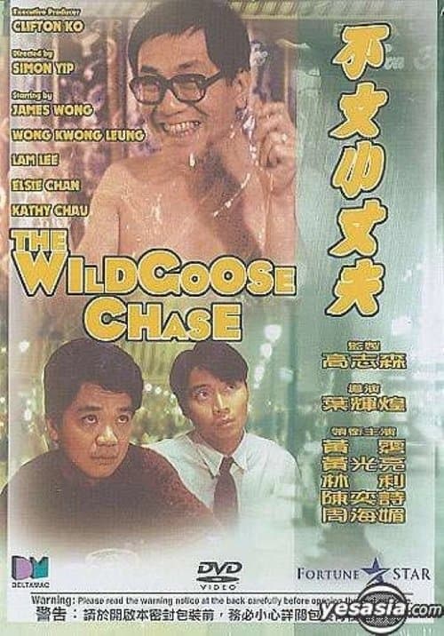 不文小丈夫 poster