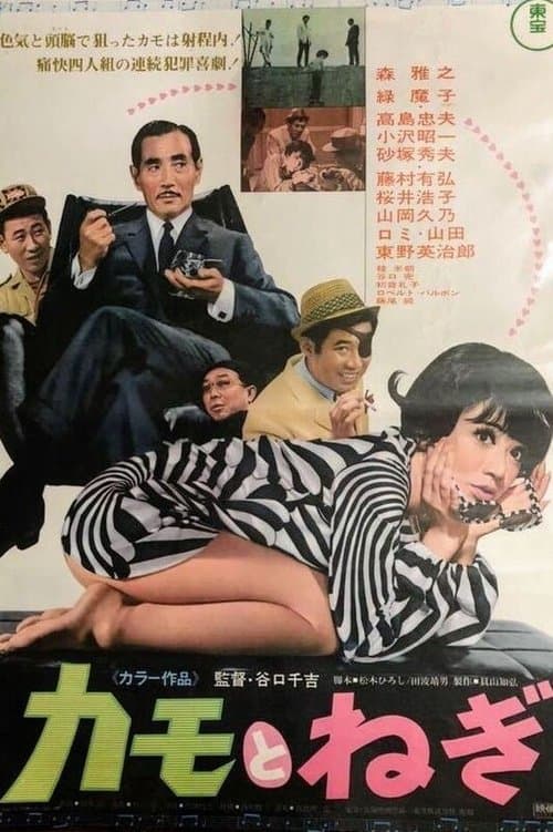 カモとねぎ poster