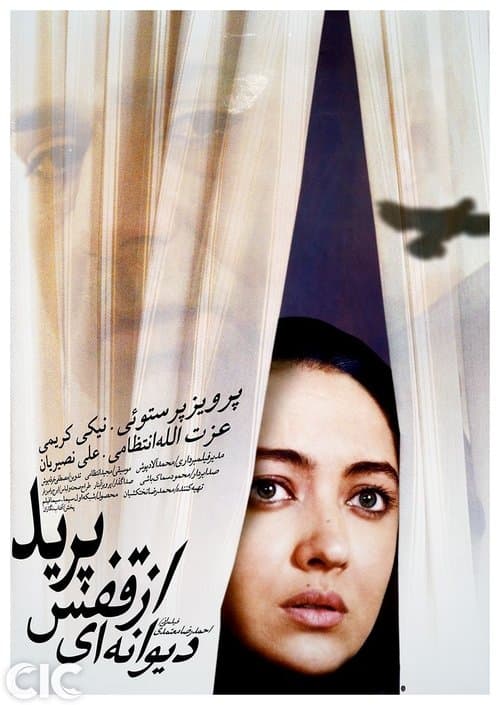 دیوانه‌ای از قفس پرید poster