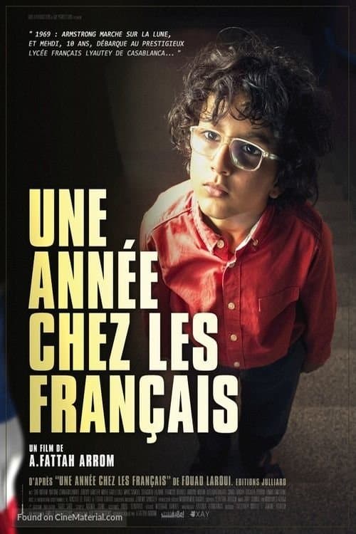 Une année chez les français poster