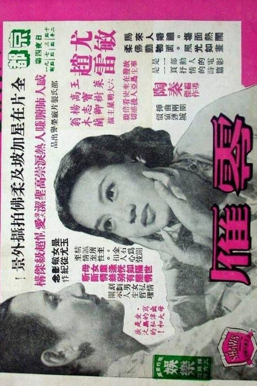 零雁 poster