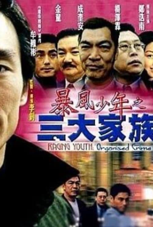 暴風少年之三大家族 poster