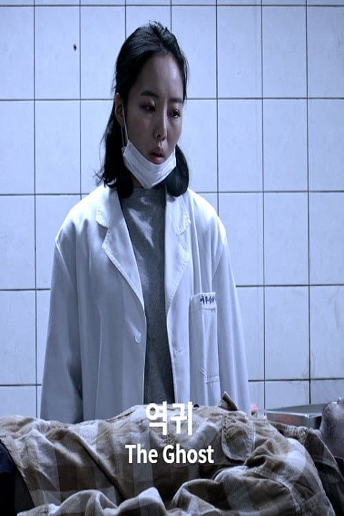 역귀 poster