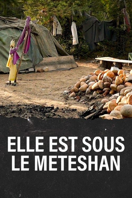 Meteshu innushkueu poster
