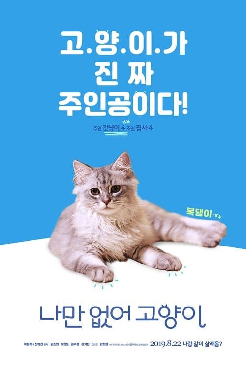 나만 없어 고양이 poster