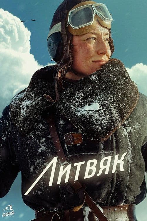 Литвяк poster