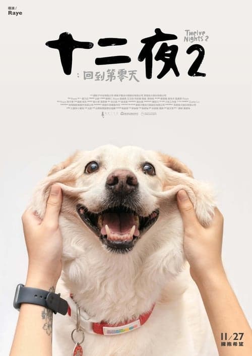 十二夜2：回到第零天 poster