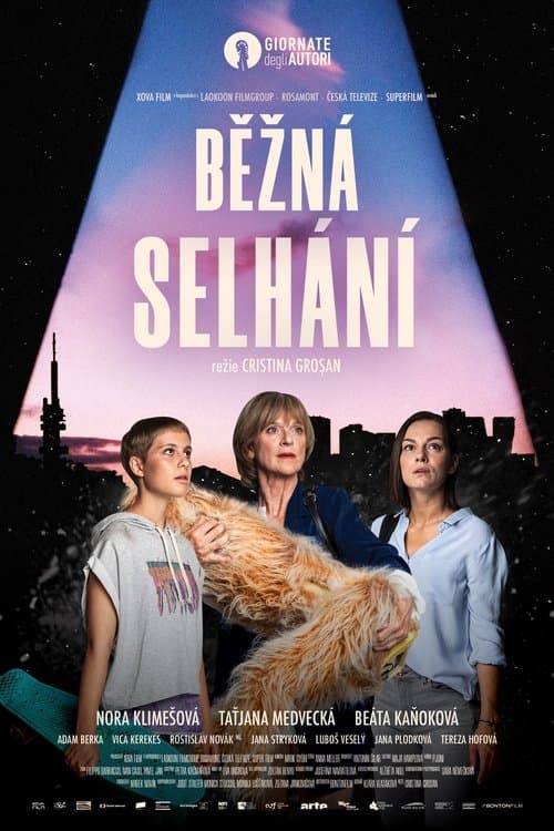 Běžná selhání poster