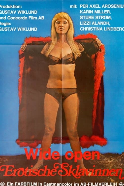 Wide Open - Erotische Sklavinnen poster