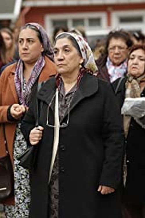 Anamız Var poster