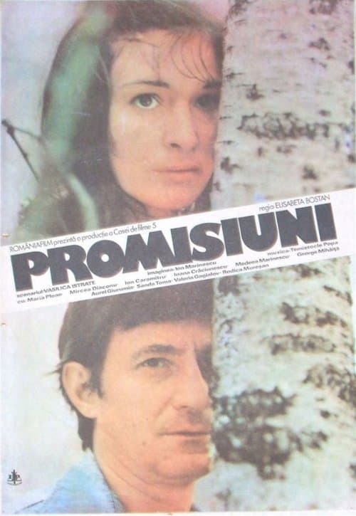 Promisiuni poster