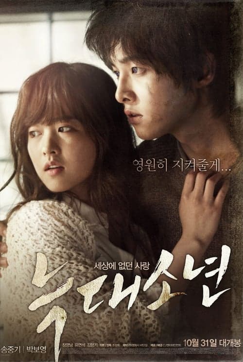 늑대소년 poster